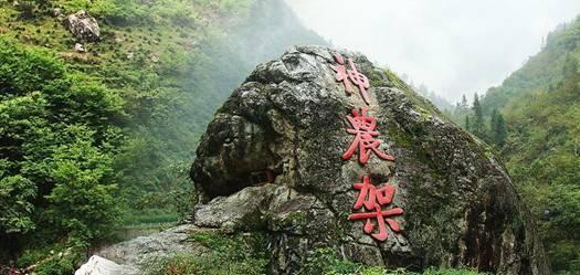 按点连线